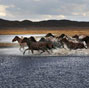 Picturesque autumn scenery of Hongshan Army Horse Ranch