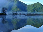 China's Hubei Shennongjia added to World Heritage List