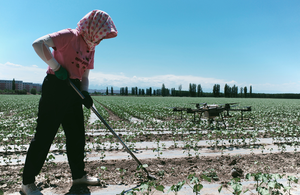 Lives of people in Shihezi, NW China's Xinjiang