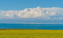 Enjoy stunning scenery along Qinghai Lake