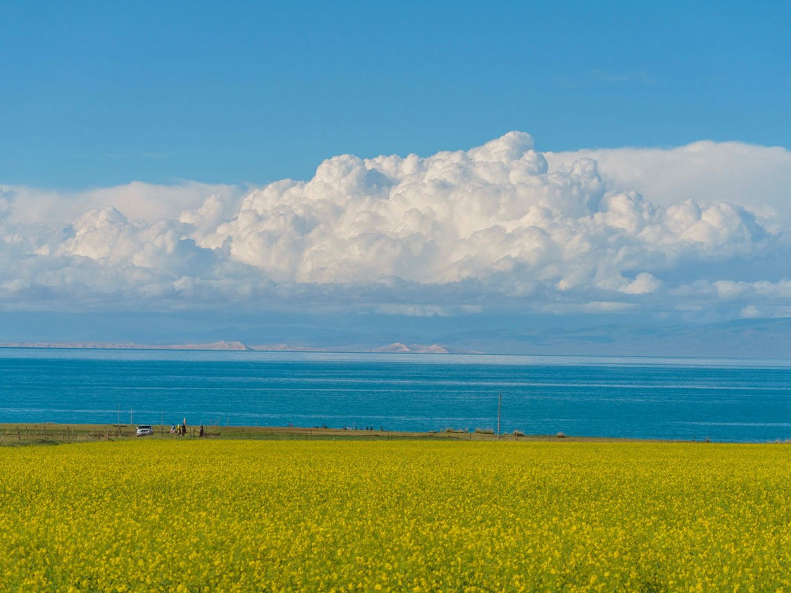 Enjoy stunning scenery along Qinghai Lake