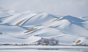 Snow creates winter wonderland in Taklimakan Desert, NW China's Xinjiang