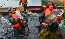 Winter fishing kicks off at ecological reservoir in SW China's Chongqing