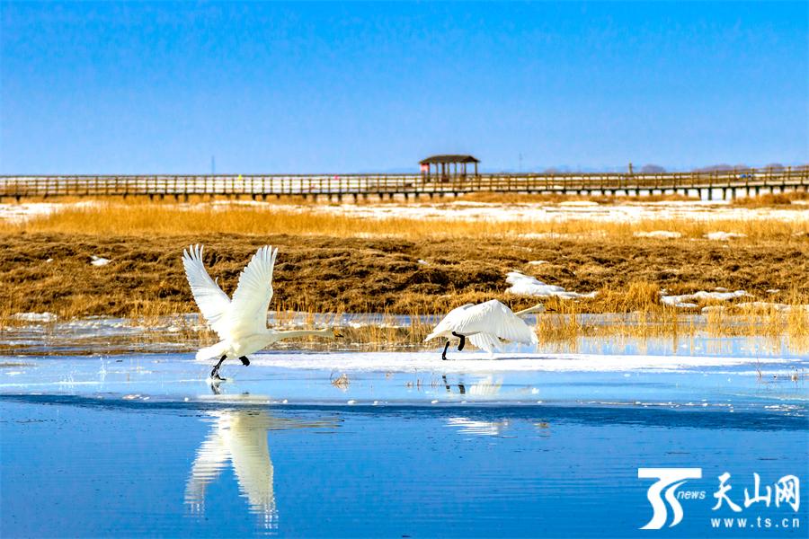 Enchanted winter scenery of Barkol, NW China's Xinjiang in early spring