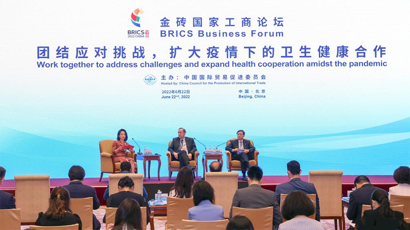 Panel discussions held during BRICS Business Forum in Beijing