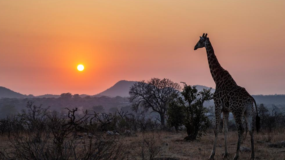 In pics: Kruger National Park in South Africa