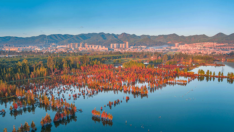 Wetland park in SW China's Yunnan offers picturesque scenery