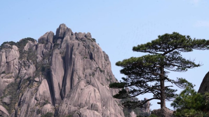 Tourists visit Huangshan Mountain in E China