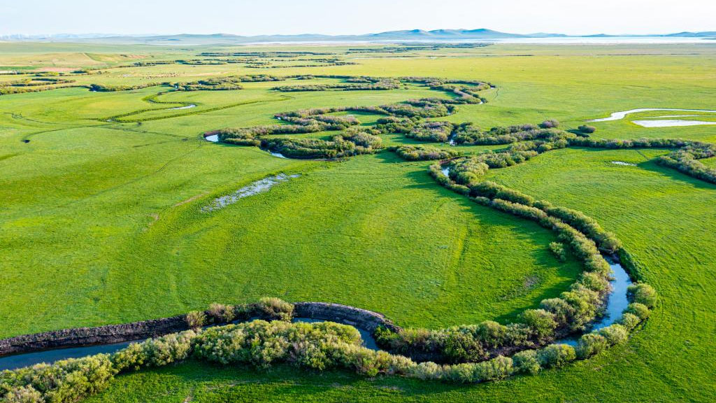 Scenery of grassland in Xilingol League of N China's Inner Mongolia