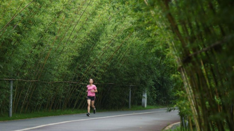 SW China's Yibin adheres to green development