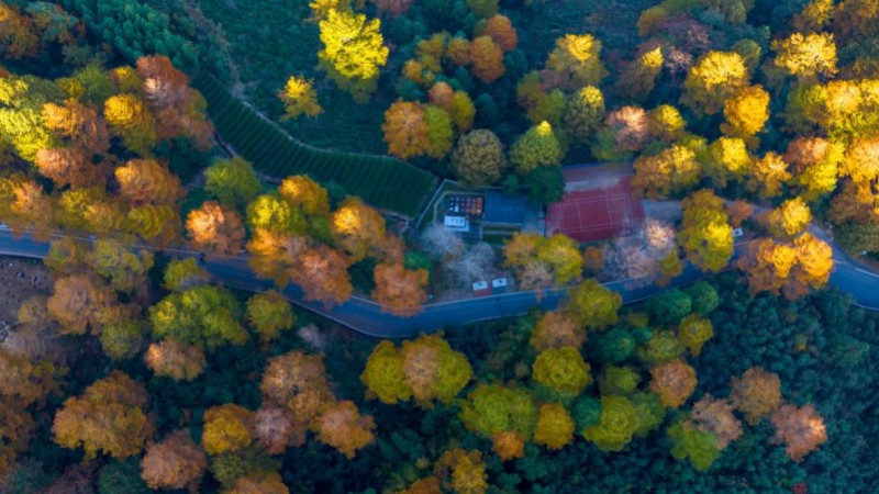 Autumn scenery across China