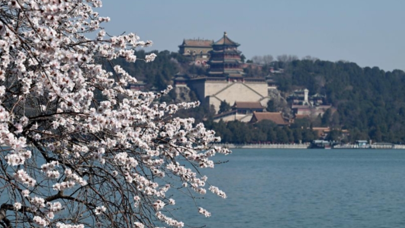 In pics: spring flowers in full bloom at Summer Palace in Beijing