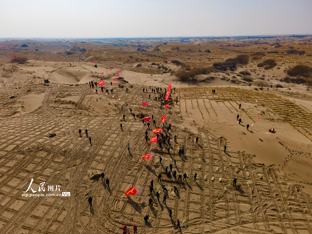 In pics: Aohan Banner in Inner Mongolia builds grass grids for sand control