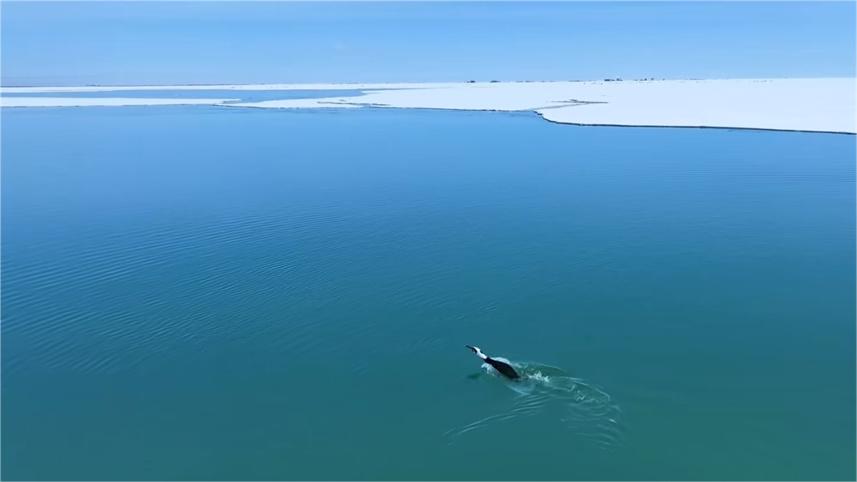 Qinghai Lake starts to thaw