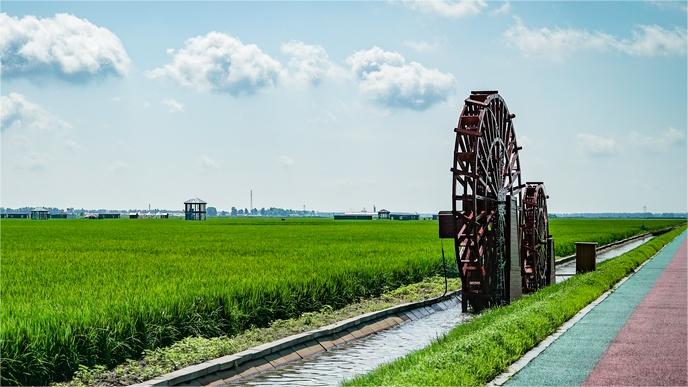 In pics: Paddy fields park in Fujin city, NE China's Heilongjiang