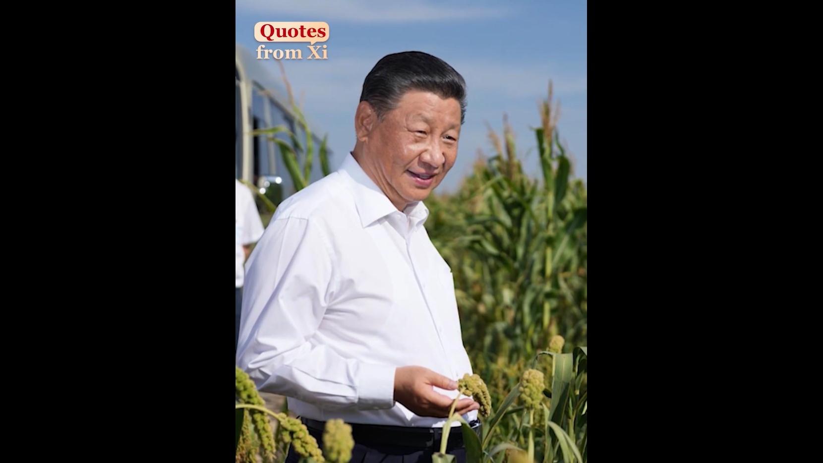 Quotes from Xi: 'Agriculture is a fundamental undertaking'