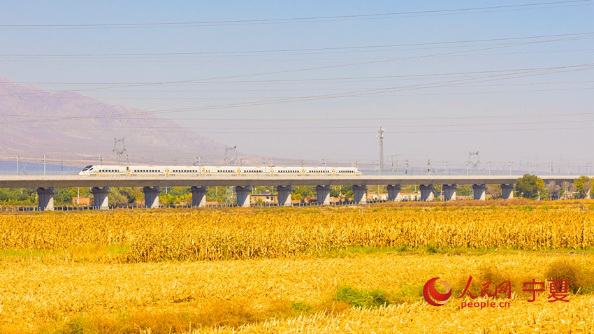 Catch the high-speed train to discover autumn in NW China's Ningxia