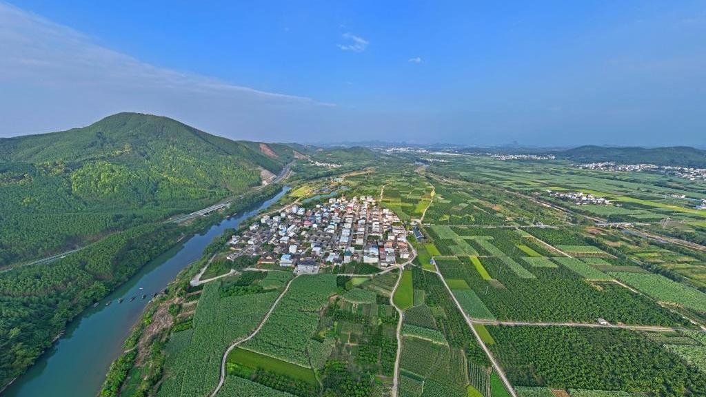 Traditional village in S China turns tourist attraction, hot spot for study tours