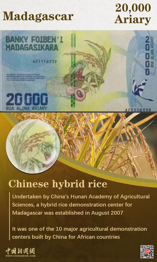 2024 FOCAC Summit | Fruit of China-Africa cooperation featured on African banknotes