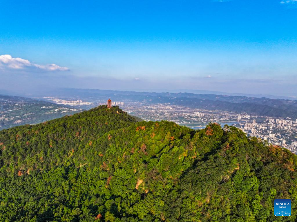 View of national nature reserve of Jinyun Mountain in Chongqing, SW China