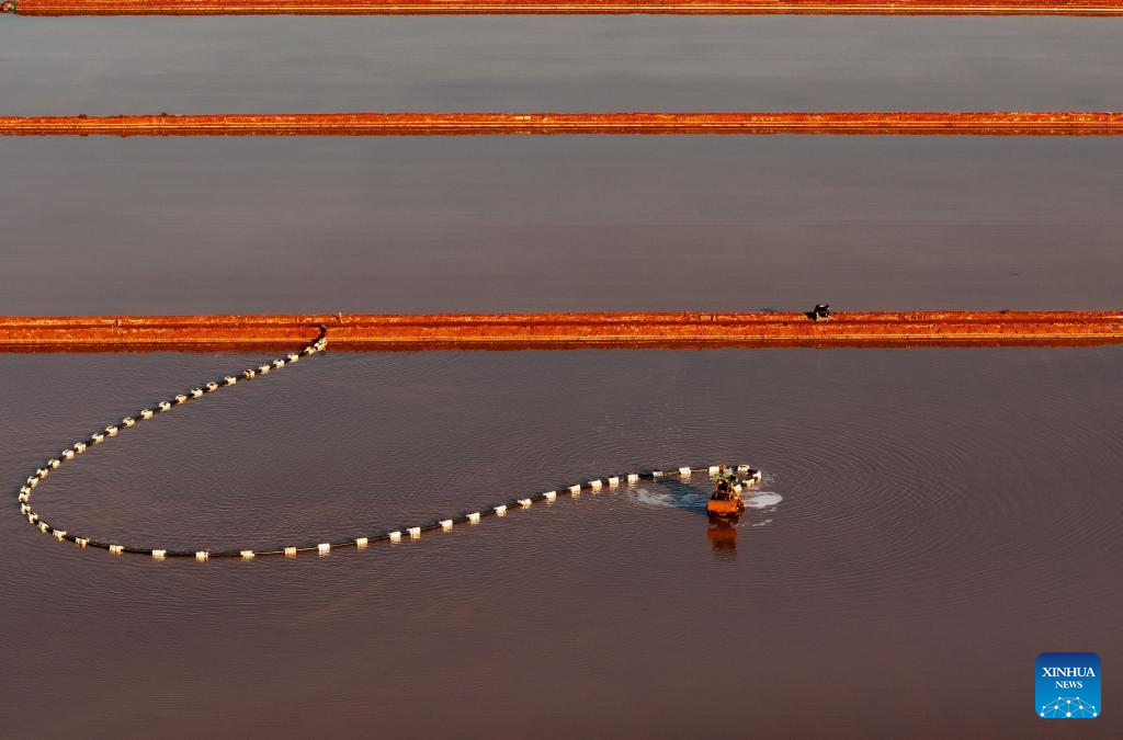 Salt harvested at Nanpu salt field in Tangshan, Hebei