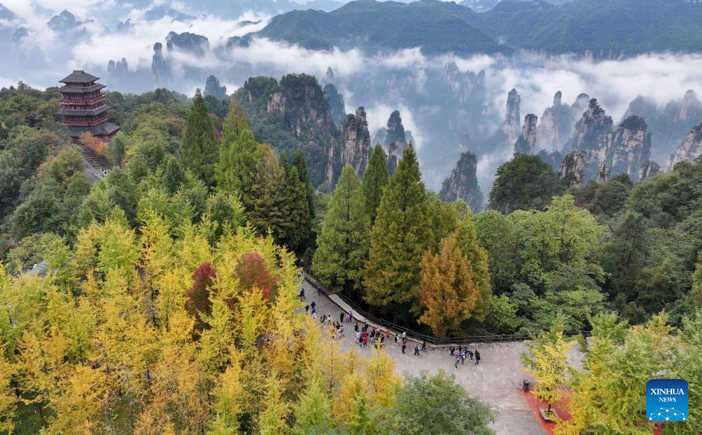 Autumn scenery across China