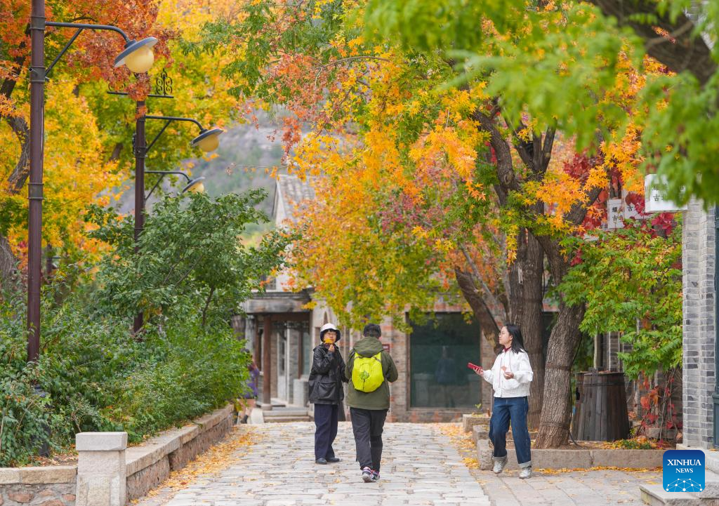 Autumn scenery in Beijing