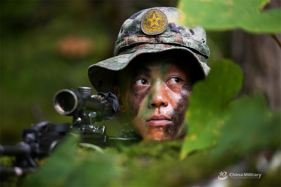 Soldiers participate in tactical training in woods