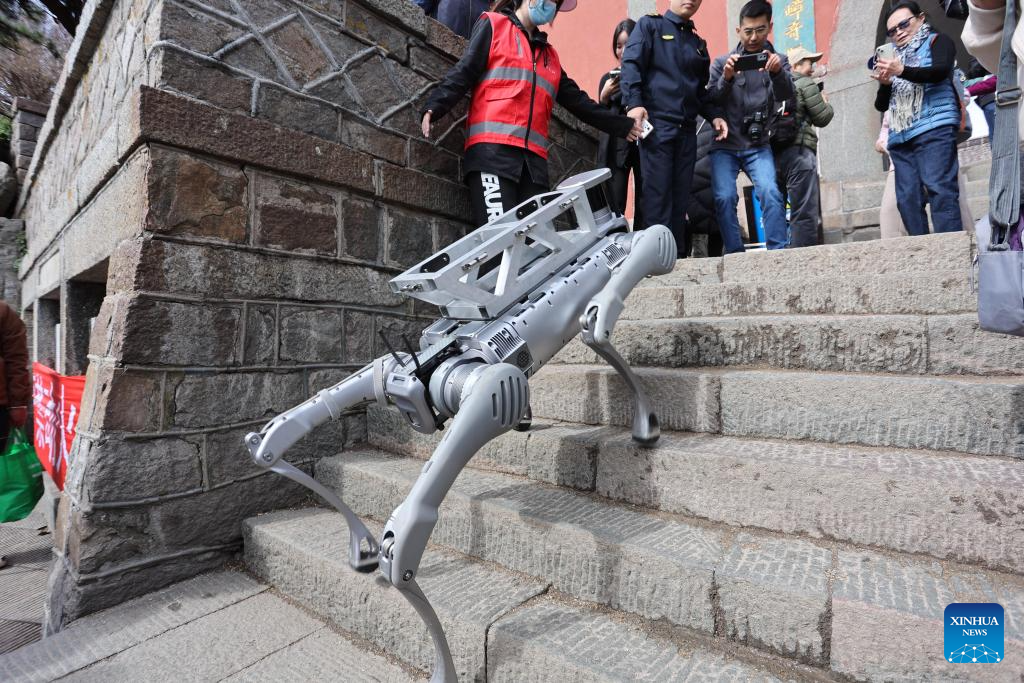 Robotic dog conducts test run for heavy load deliveries at Mount Tai scenic area in E China